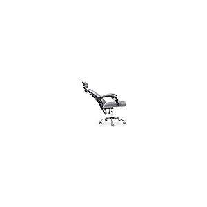 【並行輸入品】FENNVV Ergonomic Office Chair Mesh Computer Chairs Swivel Lift T_2