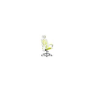 【並行輸入品】FENNVV Mesh Desk Chair Ergonomic Office Chair Breathable Reclini