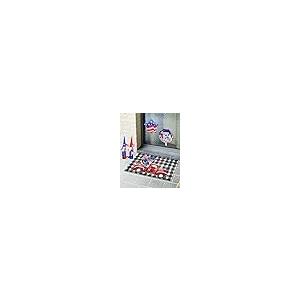 【並行輸入品】Doormat Indoor Entrance Home Decor Door Mat,4th of July Floor Ruの画像