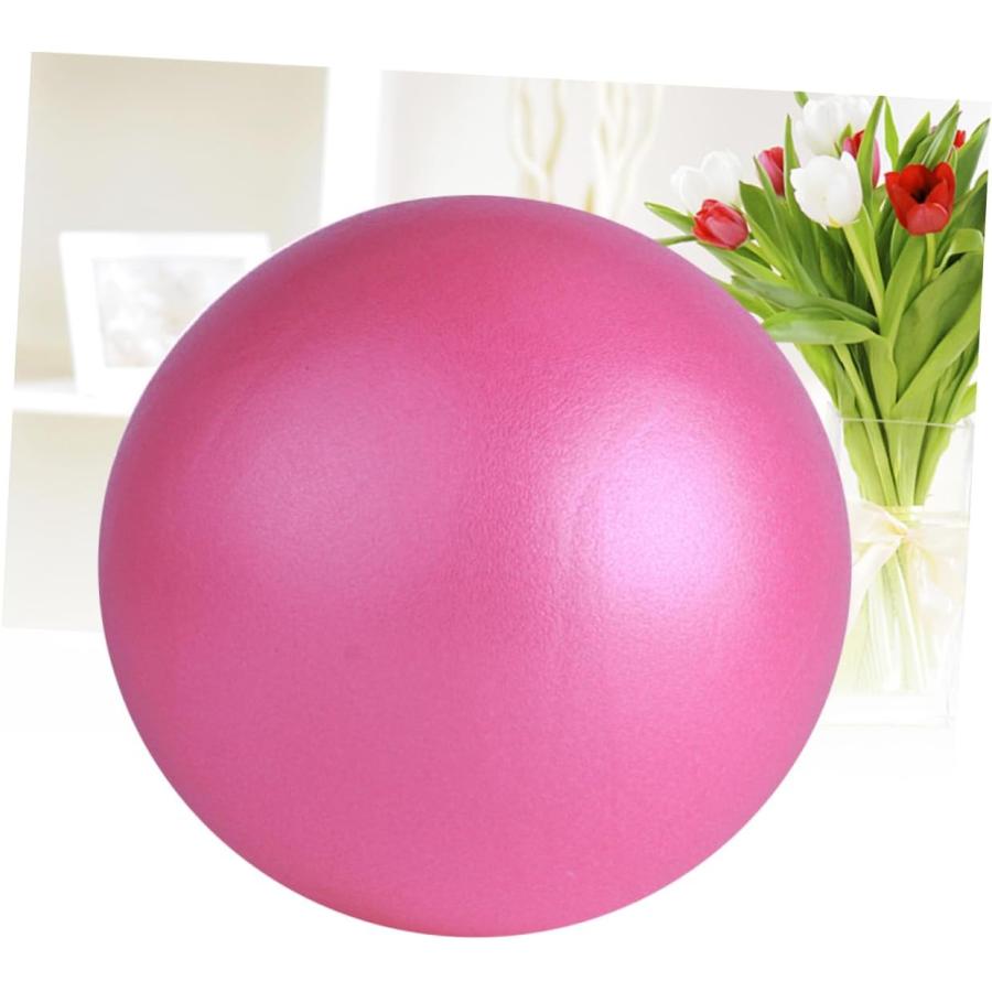 【並行輸入品】BESPORTBLE Barre Office Workout Equipment Stability Balance Pilat