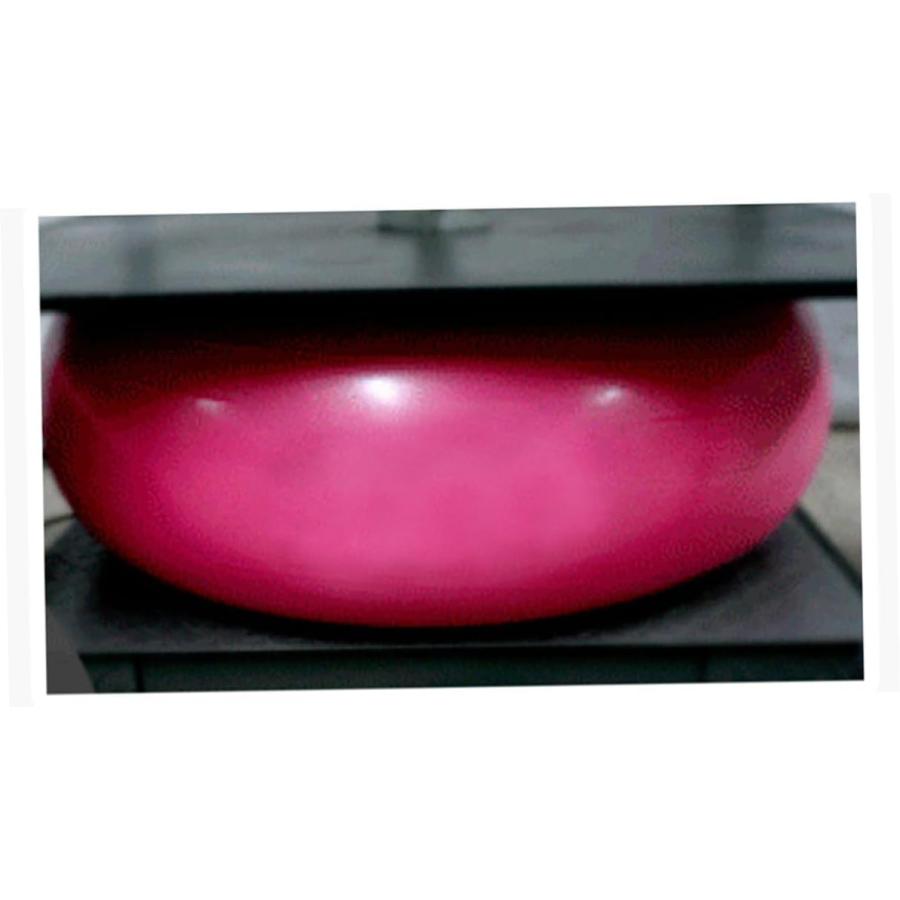 【並行輸入品】BESPORTBLE Barre Office Workout Equipment Stability Balance Pilat