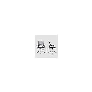【並行輸入品】ZHAOLEI Mid Back Mesh Office Chair Ergonomic Swivel Black Mesh Cの画像