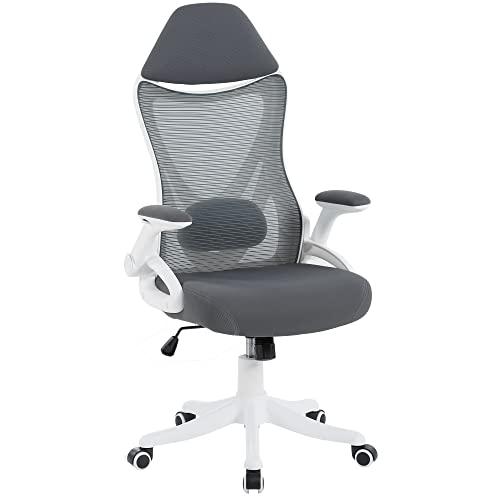 Mesh Swivel Designer High Back Ergonomic Price 【EastForce】 Office 並行輸入品