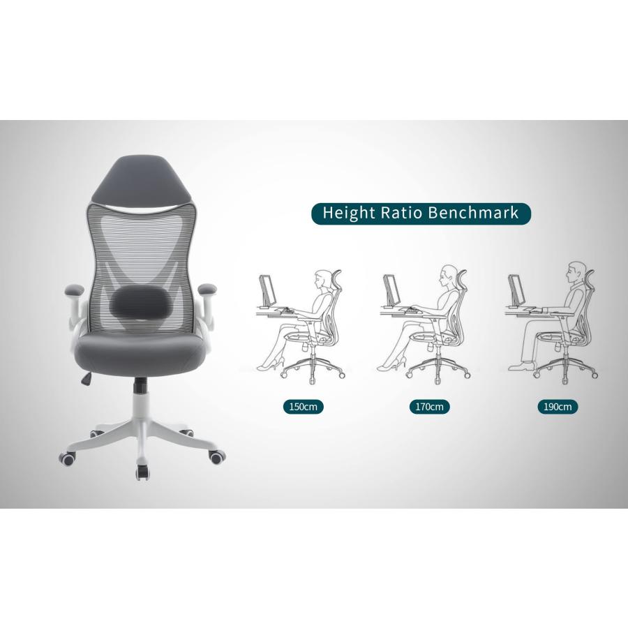 Mesh Swivel Designer High Back Ergonomic Price 【EastForce】 Office 並行輸入品