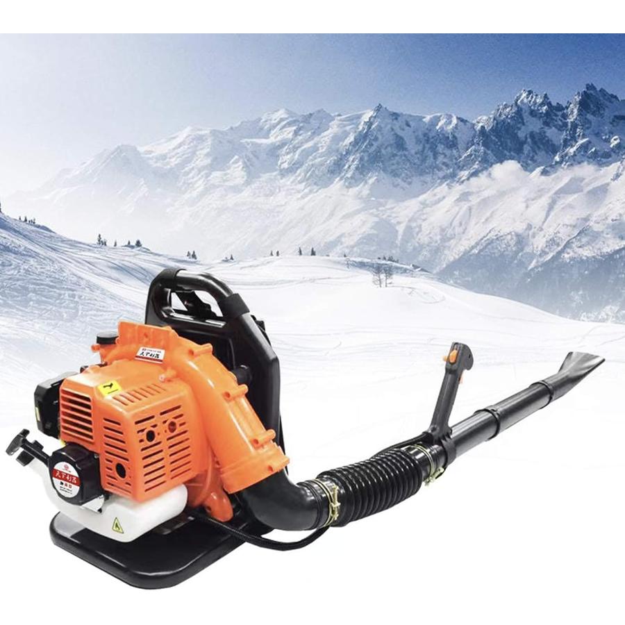 【並行輸入品】Backpack Leaf Blower 2-Strokes 42.7CC Gas-Powered Commercial Gras 並行の画像