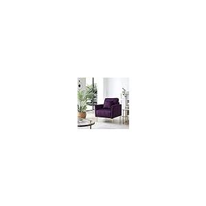 【並行輸入品】Modern Soft Purple Velvet Living Room Chair Upholstered Accent Aの画像
