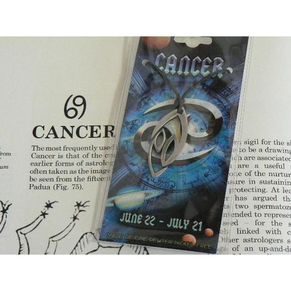 十二星座ペンダント　かに座（巨蟹宮） | 