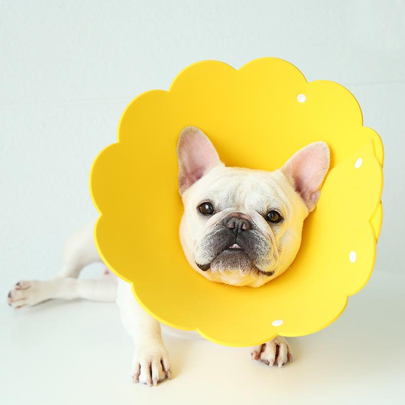 エリザベスカラー 犬 猫 ペット 皮膚病 術後 介護 避妊手術 去勢手術 調節可能 軽量 傷舐め防止 引っ掻き防止 傷口保護 柔らかい | ブランド登録なし | 04