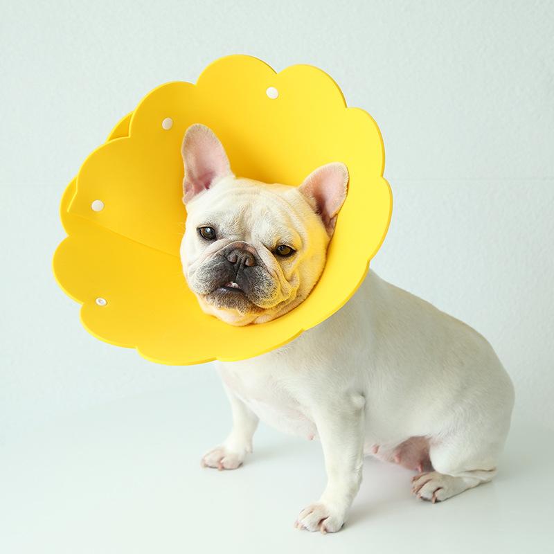 エリザベスカラー 犬 猫 ペット 皮膚病 術後 介護 避妊手術 去勢手術 調節可能 軽量 傷舐め防止 引っ掻き防止 傷口保護 柔らかい | ブランド登録なし | 05