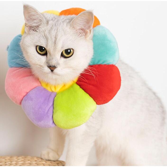 エリザベスカラー 犬 猫 介護 手術 ドーナツ 花  ペット | ブランド登録なし | 03