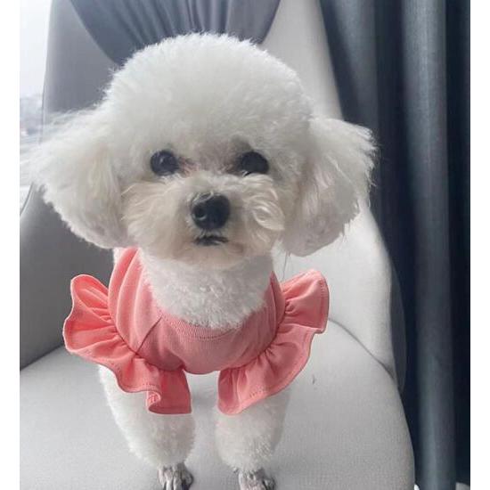 犬服 ドックウェア Mサイズ 小型犬 春 夏 服 ペット用品 可愛い | ブランド登録なし | 01