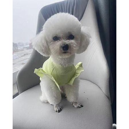 犬服 ドックウェア Mサイズ 小型犬 春 夏 服 ペット用品 可愛い | ブランド登録なし | 02