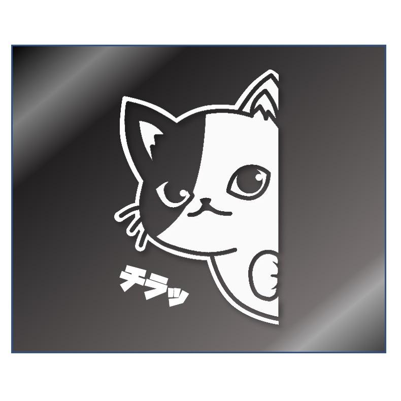 キラキラ⭐️　　ひょっこり猫 キラキラ⭐️ ひょっこり猫 きらきらひょっこり猫さんキラキラ