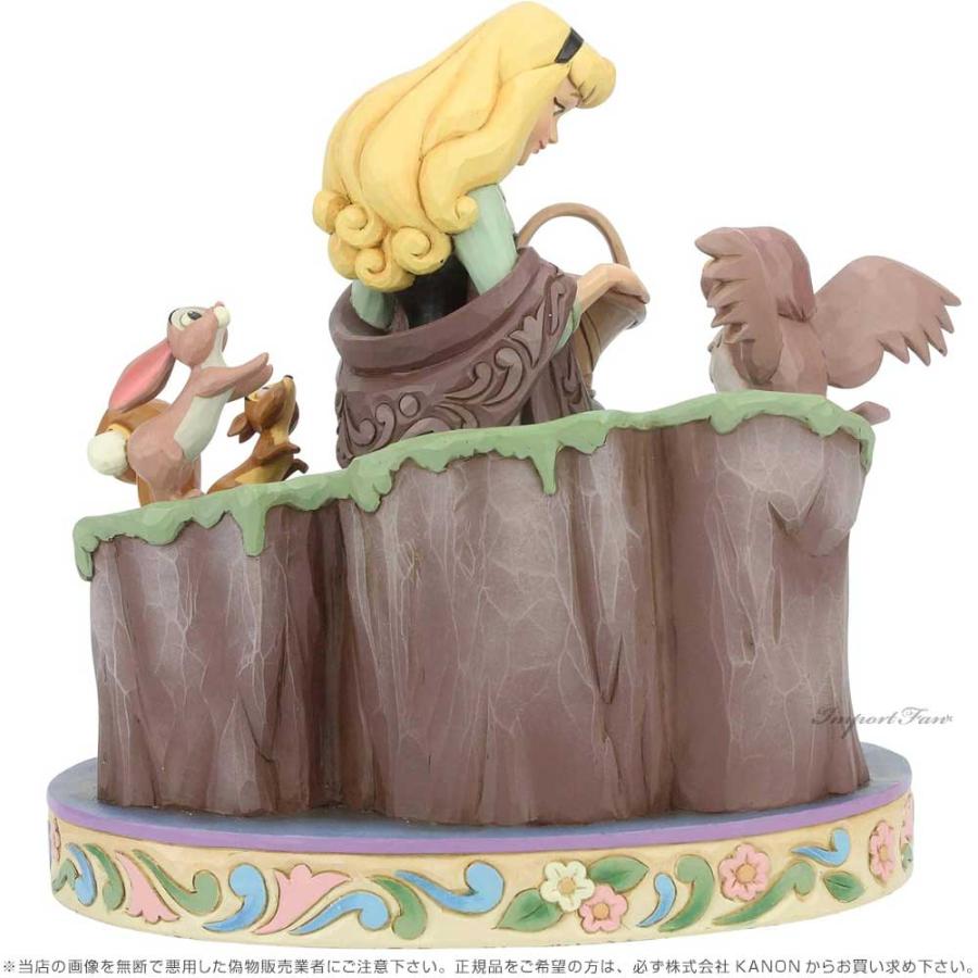 Disney（ディズニー） ジムショア 眠れる森の美女 60周年