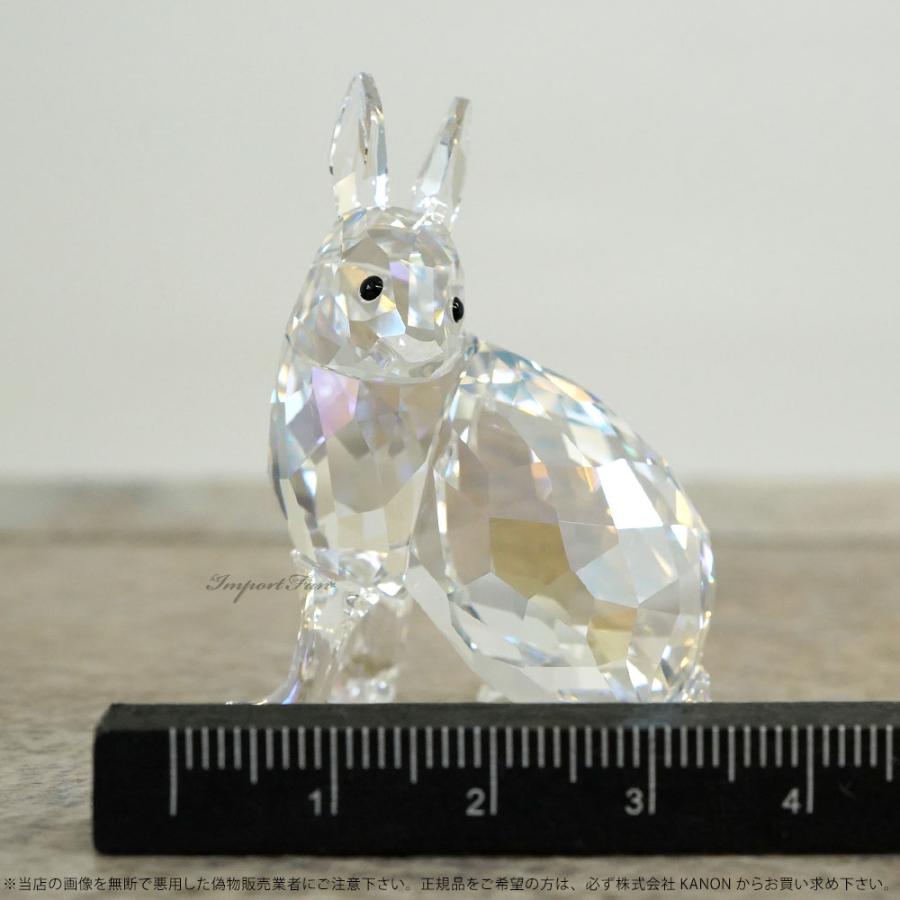 SWAROVSKI スワロフスキー Swarovski 2011年 SCS会員限定 北極 SWAROVSKI スワロフスキー Swarovski 2011年 SCS会員限定 北極