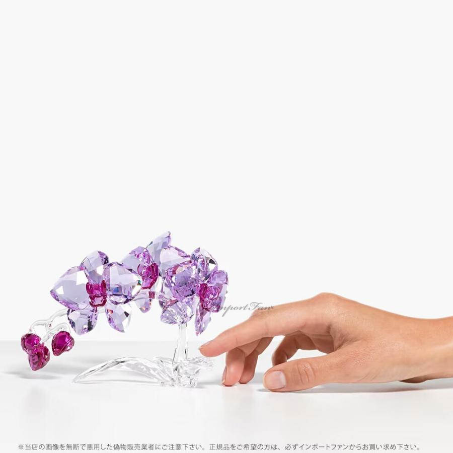SWAROVSKI スワロフスキー オーキッド ラン 蘭 花 置物 【公式通販】