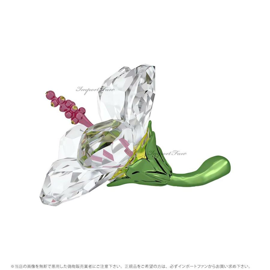 Swarovski ハイビスカス SWAROVSKI（スワロフスキー） フロレーレ ハイビスカス 花 フラワー S