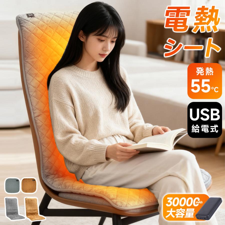 最大P10倍】 パネルヒーター タイマー付 椅子用 シートヒーター ホット