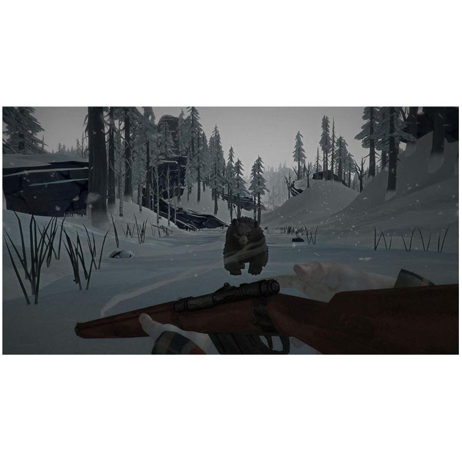 The Long Dark ザ ロング ダーク Ps4 輸入版 新品 Pss Import One 通販 Yahoo ショッピング