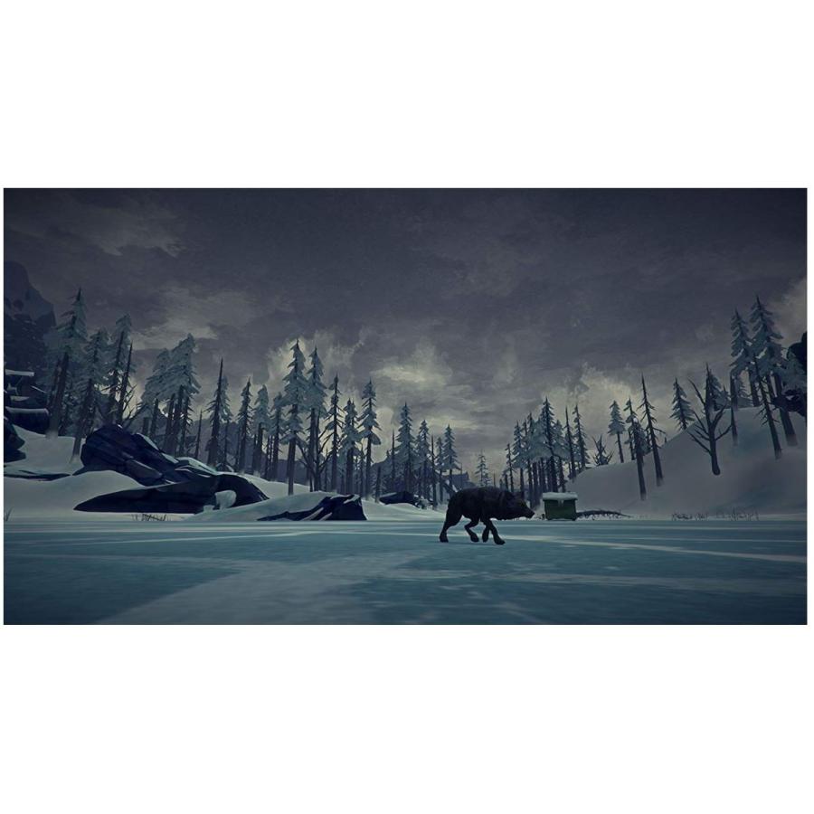 The Long Dark ザ ロング ダーク Ps4 輸入版 新品 Pss Import One 通販 Yahoo ショッピング