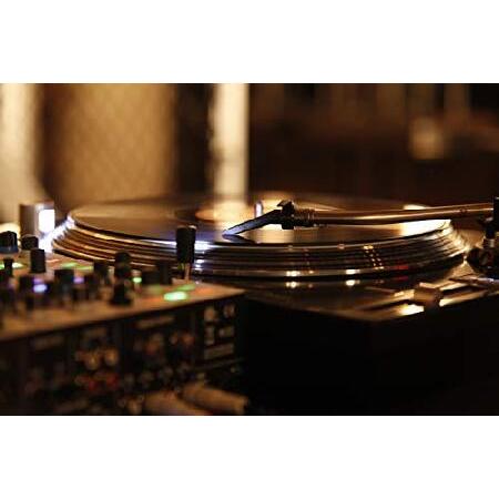 初回限定お試し価格】Ortofon CONCORDE MKII 2個パック オルトフォン