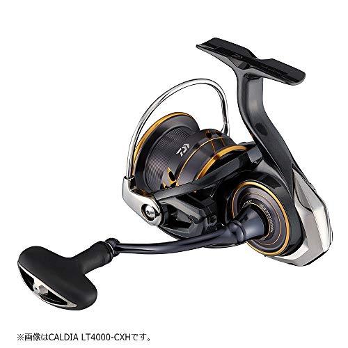 ダイワ(DAIWA) 21 カルディア LT4000S-C｜importselection｜02