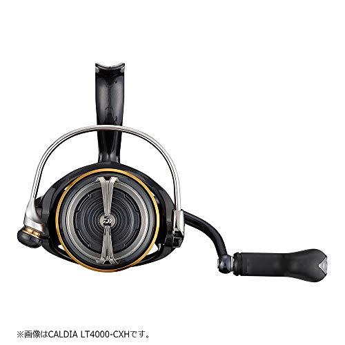 ダイワ(DAIWA) 21 カルディア LT4000S-C｜importselection｜03