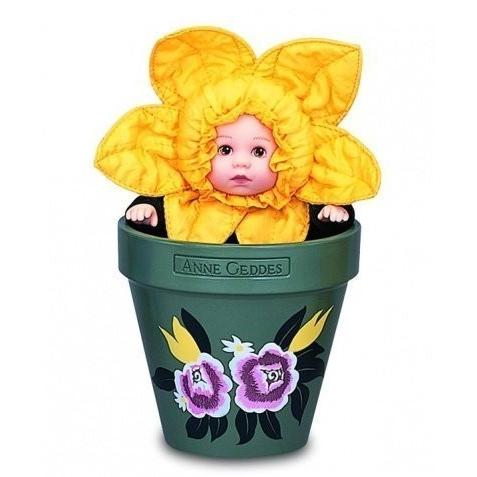 注目の福袋をピックアップ！Anne Geddes Flower Pot Babies Daffodil