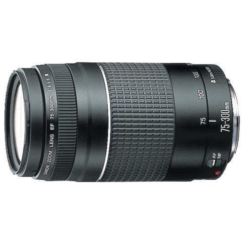 Canon EFレンズ EF75-300mm F4-5.6 IIIズームレンズ 望遠 : 84122511 