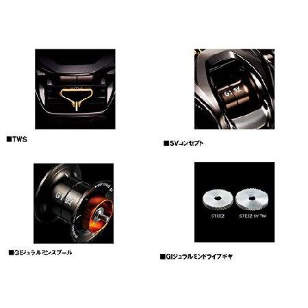 正規品はそれなりの価格 ダイワ(DAIWA) ベイトリール 16 スティーズ SV TW 1016SV-H (2016モデル)