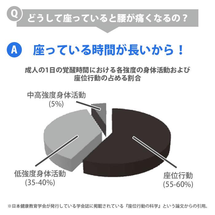 腰痛 姿勢矯正クッション NEW マルチレストクッション ドクターエル 腰痛対策 デスクワーク ブラック キャメル カーキ 運転 肩こり 猫背 | ドクターエル | 07