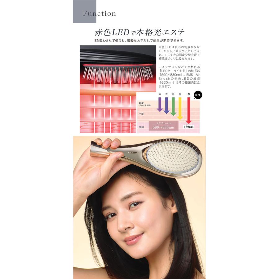EMS クッションブラシ ヘアブラシ ヘアケアブラシ くし クシ 髪 美容