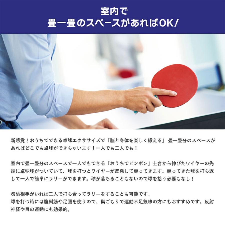 ピンポンです。 adidas ZX Torsion 'Sesame' EE5444