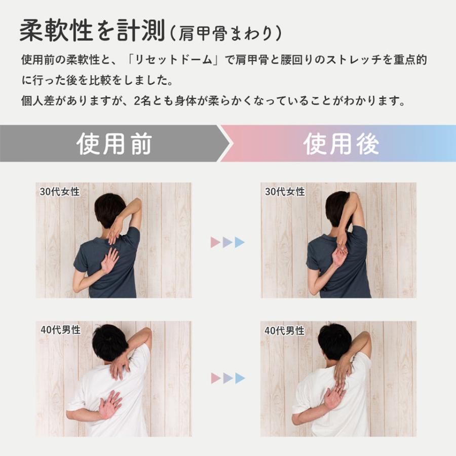 リセットムーブメント DVD 基礎・応用セット リセットドーム