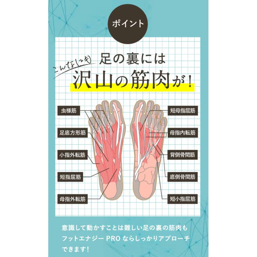 保阪尚希監修 フットエナジー プロ 足裏 EMS トレーニング