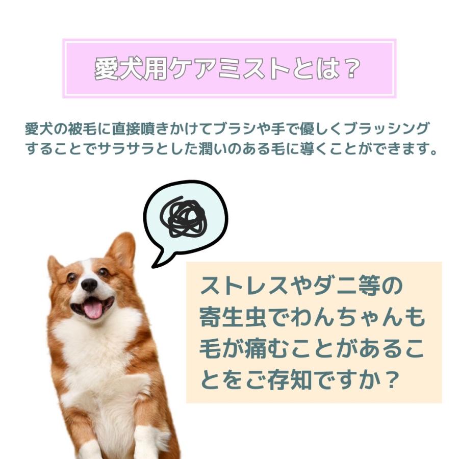 ペット ブラッシング 天然成分 安心 ケアミスト 界面活性剤不使用 香料不使用 300ml 送料無料 MUQUA POOCH :  インプリンクショップ・ヤフー店 - 通販 - Yahoo!ショッピング