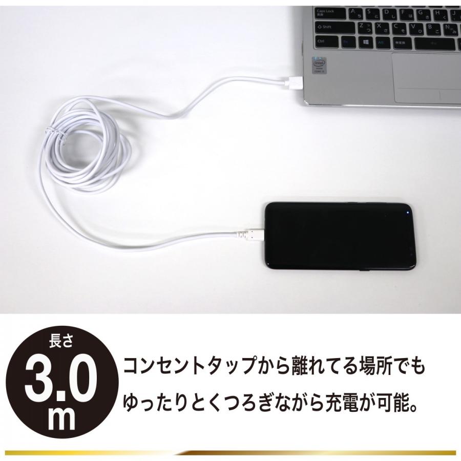 Type-C⇔Type-A  タイプc⇔タイプa　USBケーブル 3A 3m |  | 06