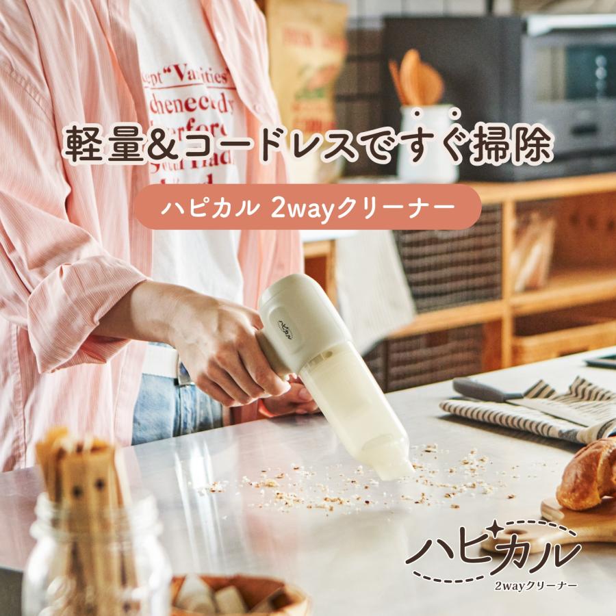 APIX INTERNATIONAL（アピックス インターナショナル） ＼TV紹介され