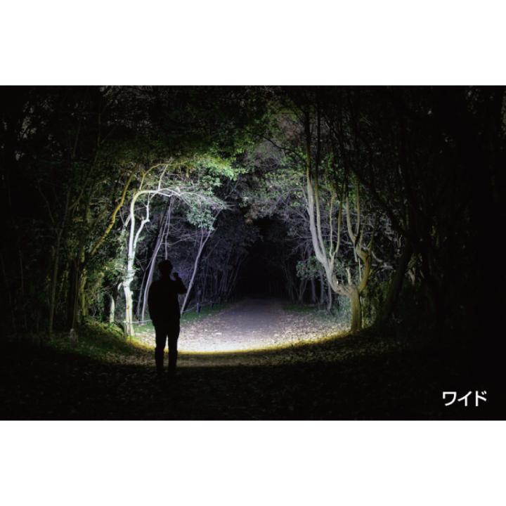 GENTOS（ジェントス） 懐中電灯 ハンディライト GENTOS GF-214RG