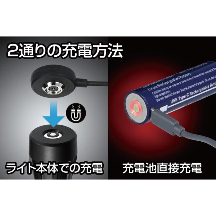 GENTOS（ジェントス） 懐中電灯 ハンディライト GENTOS GF-216RG お