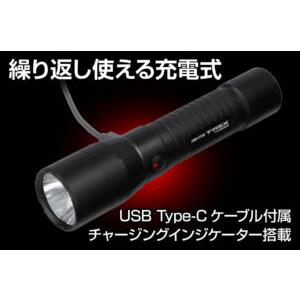 GENTOS（ジェントス） 懐中電灯 ライト LED T-REXシリーズ TX-3000R