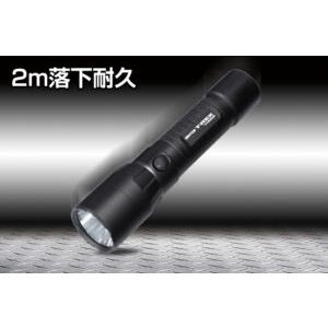 GENTOS（ジェントス） 懐中電灯 ライト LED T-REXシリーズ TX-3000R