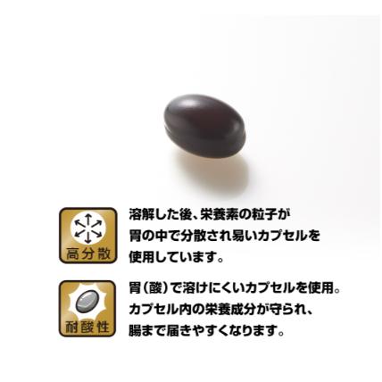 野口医学研究所 納豆キナーゼ HQ プレミアム ナットウキナーゼ サプリ