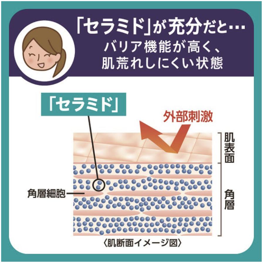 Curel キュレル シミ・ソバカス予防ケア 美白ケア フェイス クリーム