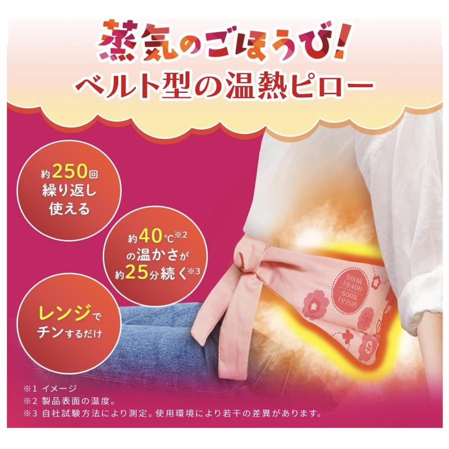 あずきのチカラ どこでもベルト 1個 小林製薬 カイロ あずき 小豆 温熱