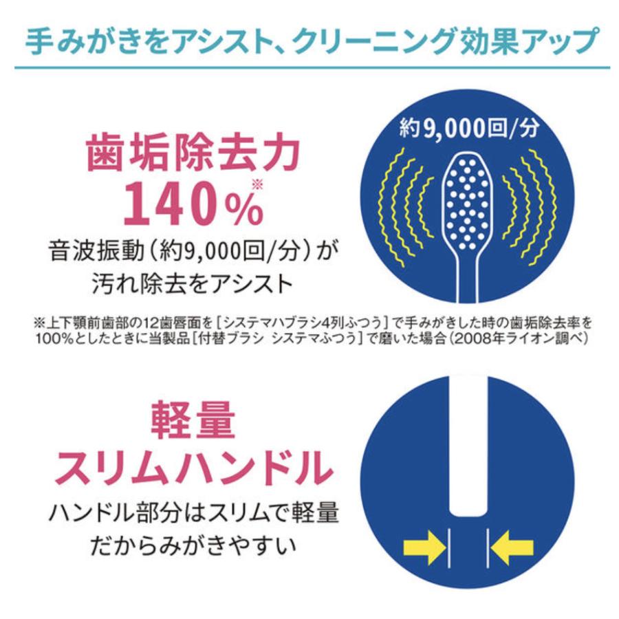 最終価格 LION 歯磨き指導用模型・ブラシ付き 最終価格 LION 歯磨き