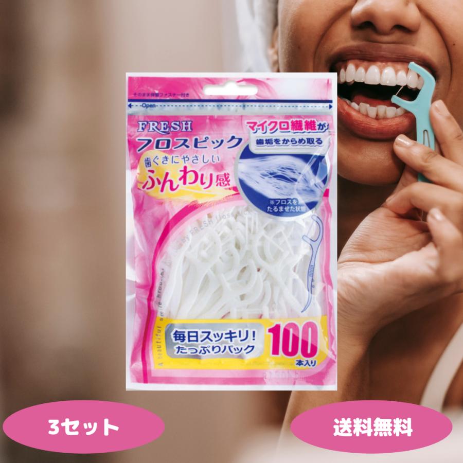 デンタルプロ フレッシュ フロスピック 100本 3セット フロス 歯間