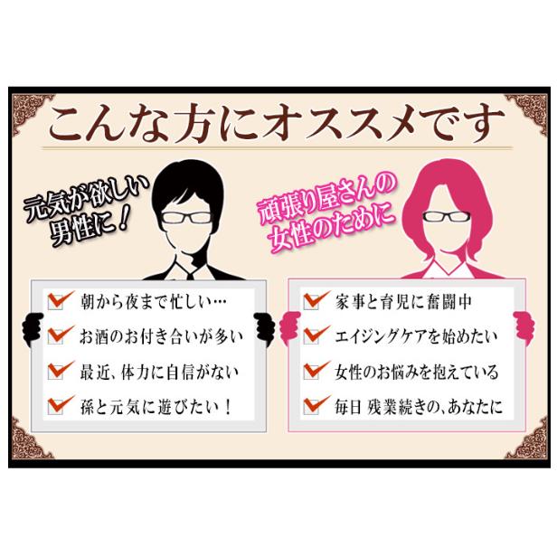 ORIHIRO（オリヒロ） スッポン高麗人参の入ったマカエキス徳用 60日分