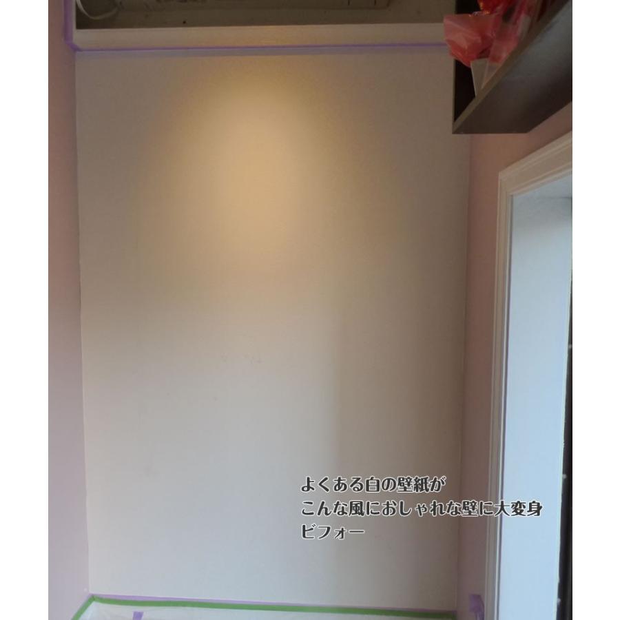 お買得 壁紙の上から塗れるペンキ セルフペイント 1l 基本の道具とペンキ用テンペーパーのセット Yg5 ペンキ 塗料 Lodhiclasses In