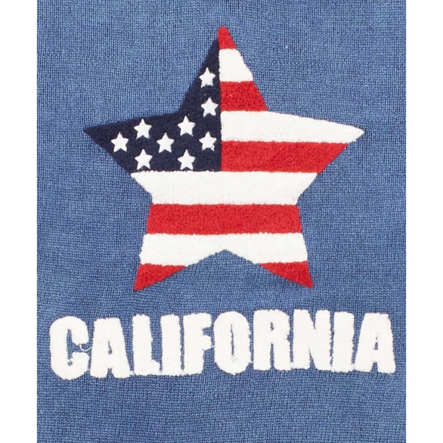 星条旗 サガラ ワッペン ニット メンズ セーター アメリカ国旗 クルーネック ジャガード スター 長袖 カットソー ホワイト | improves | 11